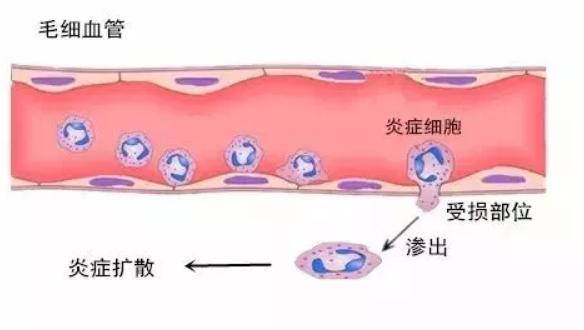 常见的痘痘出现的红印的总结